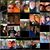 Sherryl Akridge Paxton's profile image