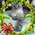Laurel R Michael's profile image