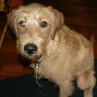 Karole Sullivan's profile image