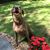 Jessica Davis Roberts's profile image