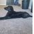 Bruce K Nebel's profile image