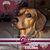 Jill LeAnne Johnston's profile image