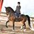 Kim Pauley's profile image
