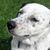 Vicki Windon's profile image
