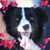 Kelly Hoffman's profile image