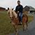 John Okeefe's profile image