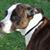 Deborah Bonner's profile image