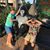 Traci Kuraitis's profile image