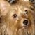 Larry Bradley's profile image