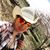 Viqui Velazquez's profile image
