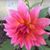 Paulette Yotty's profile image