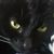 Mary Ransbottom's profile image
