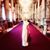 Kelly Muccio's profile image
