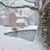 Janice M Bobenmoyer's profile image