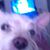 Tammy Zalarick's profile image