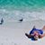 Marla Hecht's profile image