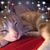 Amber Norton's profile image