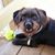 Bubba Harlan's profile image