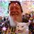 Steve Smock's profile image