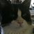 Terry Hollingsworth's profile image