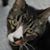 James Lehn's profile image