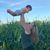Lauren Johnson's profile image