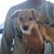 Casandra Sage's profile image