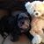 Kathy Toennies Condellire's profile image