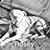 Nadine Quides's profile image