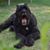 Maria Peterson's profile image