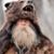 David Ayers's profile image