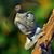 Kevin Frahm's profile image