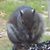 Bobbie J. Bryant's profile image