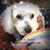 Emma Cowart's profile image