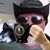 Thomas Harris's profile image