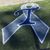 Theresa Carroll's profile image