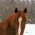 Dawnita May's profile image