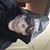 Bryant Paul Lymburner's profile image