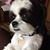 Barbara Richardson's profile image