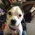 Louise Myers's profile image