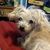 Carolee Browne Kimball's profile image