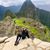 Shannon Trisler's profile image