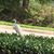 Rosalia Washington's profile image