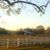 Chrystal Brown's profile image