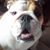Izzy Gross-Kegley's profile image