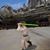 Amanda Noel's profile image