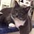 Tracey Rehder Jenkins's profile image