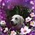 Bonnie Wood's profile image