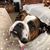 Lorene Gogerty's profile image