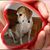 Molly Quinn's profile image